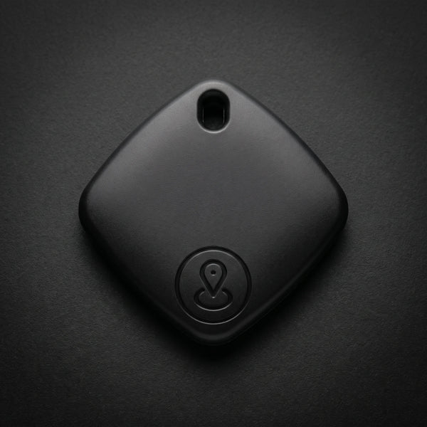 The companion app on a phone